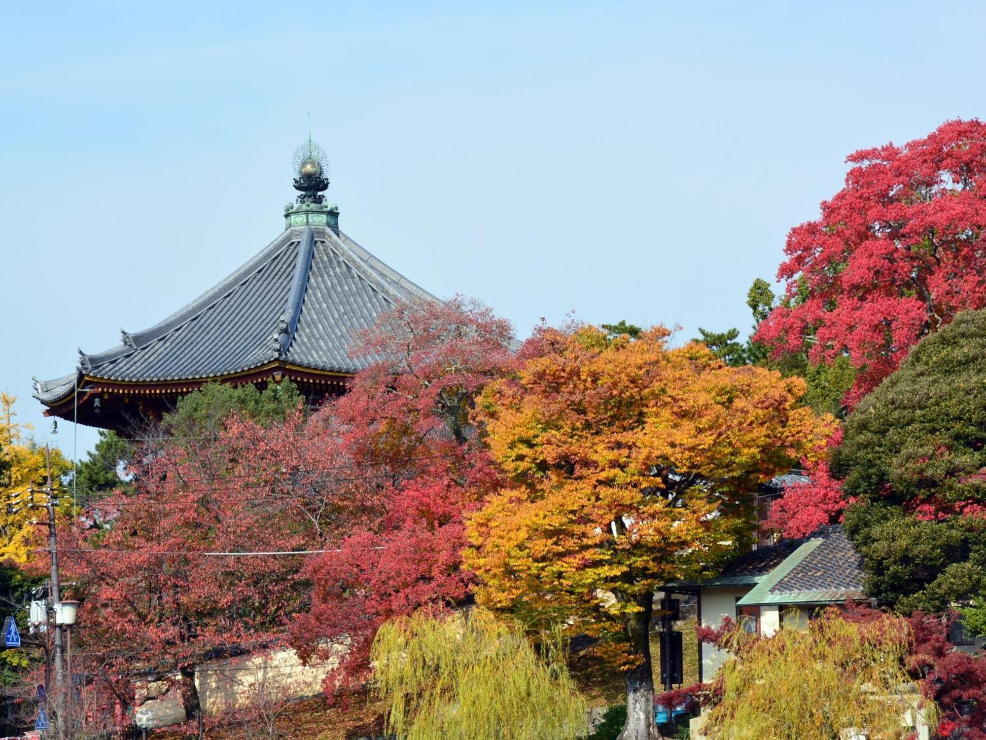 Nara - Hotel / Vacation Stay 47950 Exterior foto